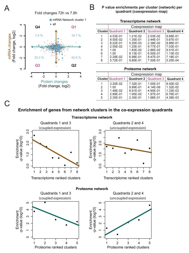 Figure 6—figure supplement 2.