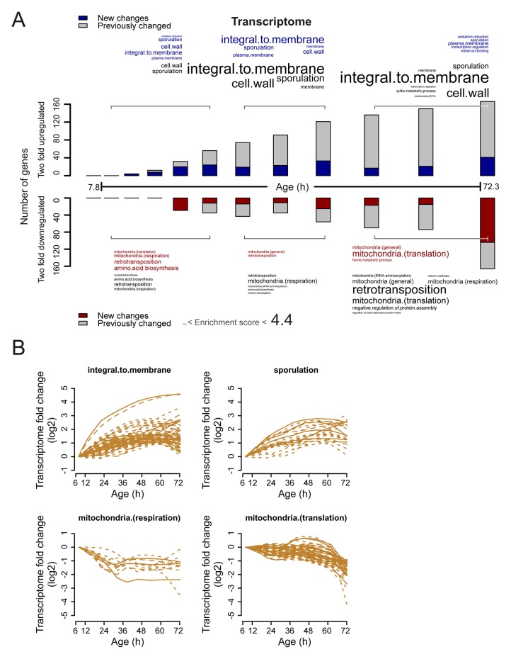 Figure 4—figure supplement 2.