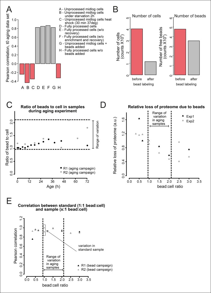 Figure 2—figure supplement 4.