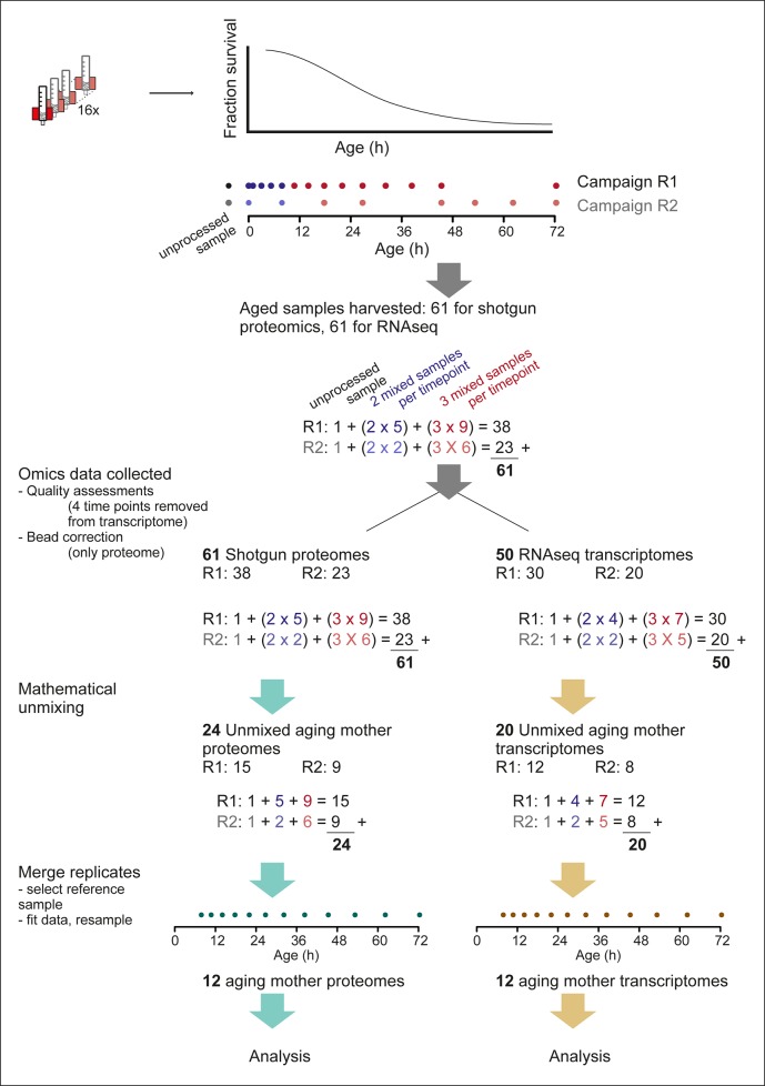 Figure 2—figure supplement 5.