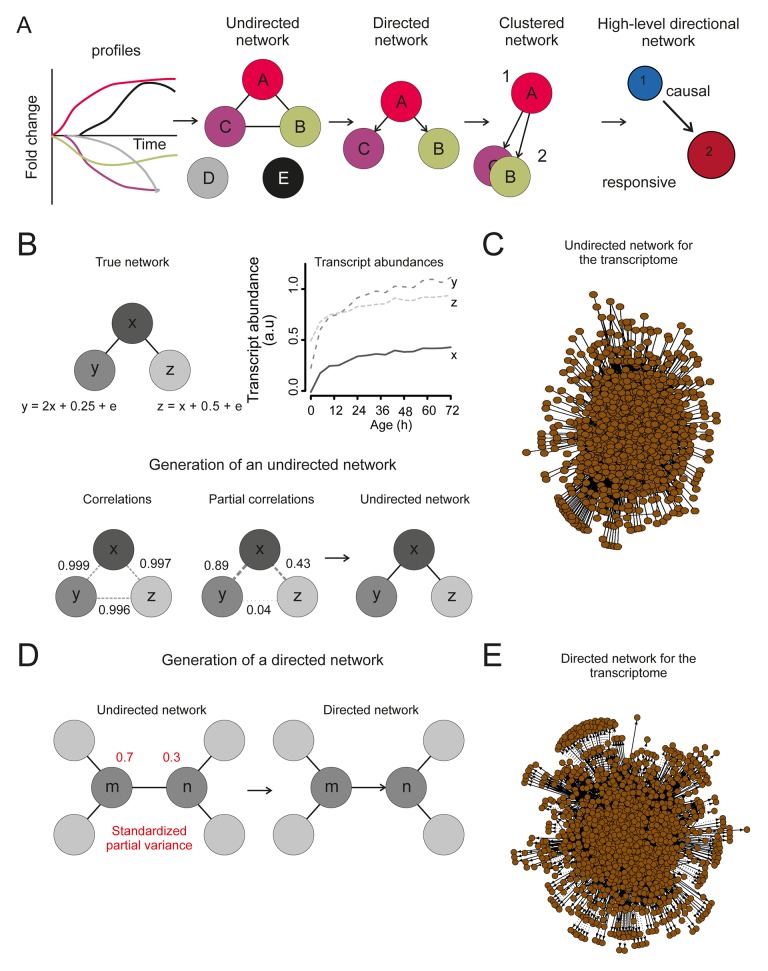 Figure 6—figure supplement 1.