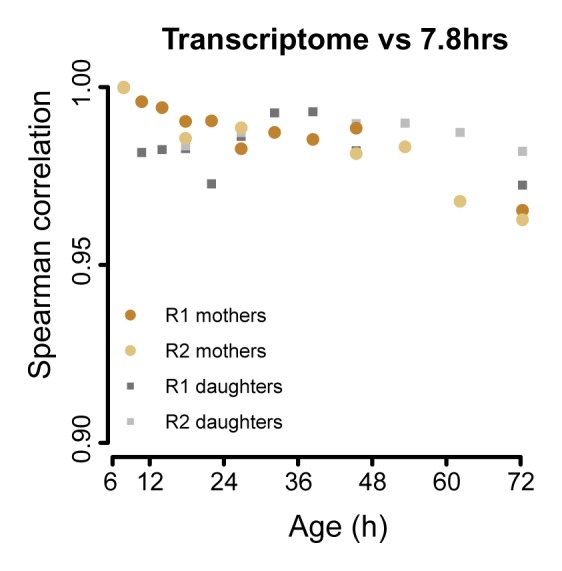 Figure 3—figure supplement 1.