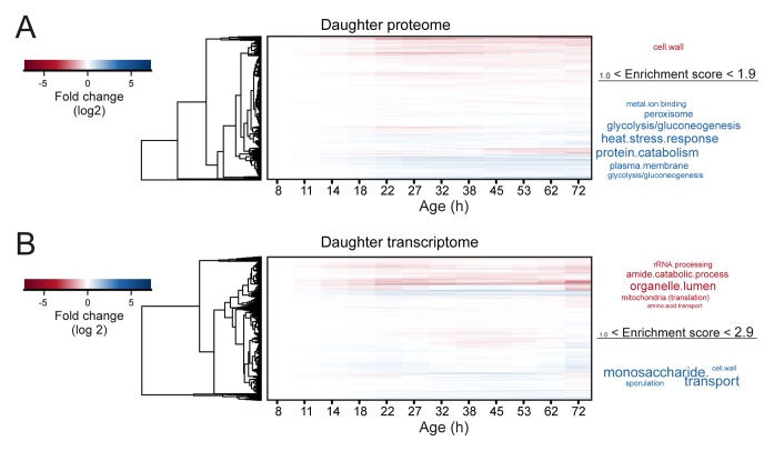 Figure 3—figure supplement 2.