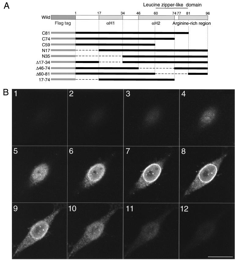 FIG. 1