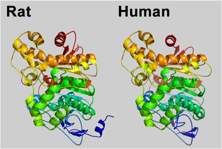 Figure 4