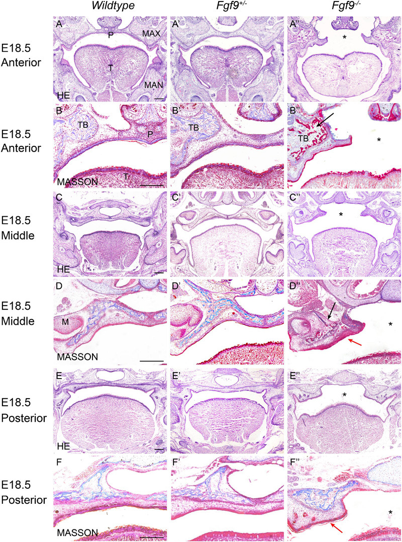 FIGURE 3