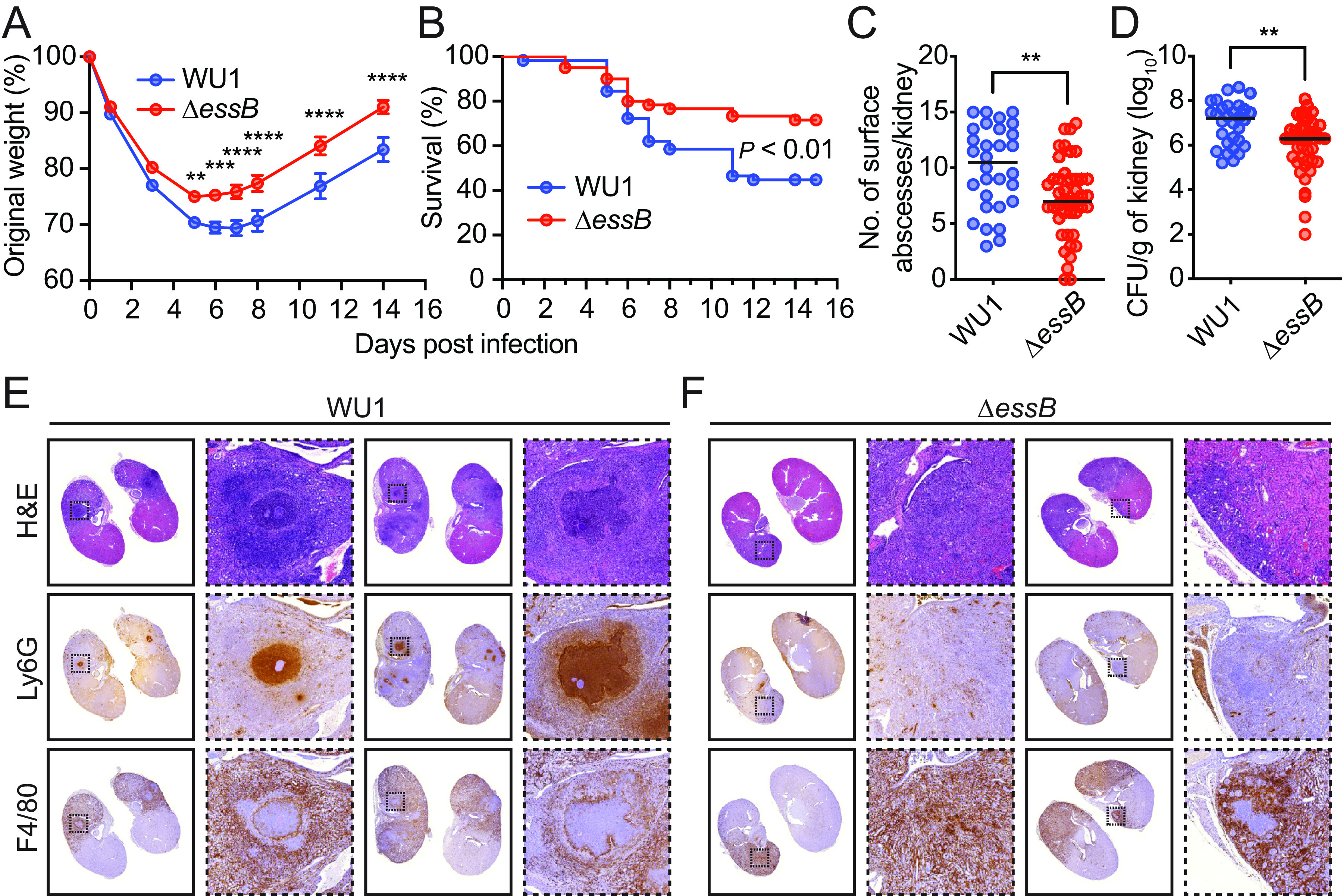 FIG 6