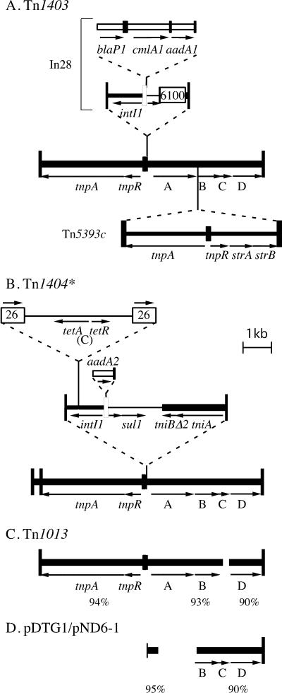 FIG. 1.