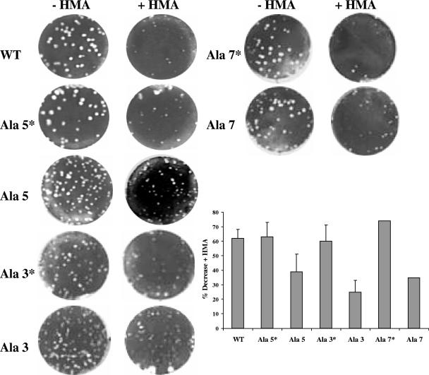 FIG. 9.