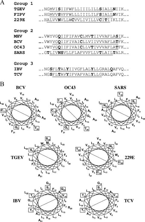 FIG. 10.