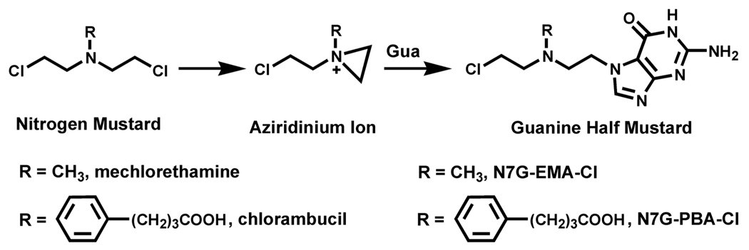 Scheme 1