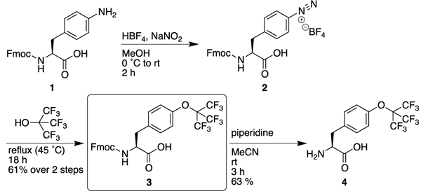 Scheme 1.