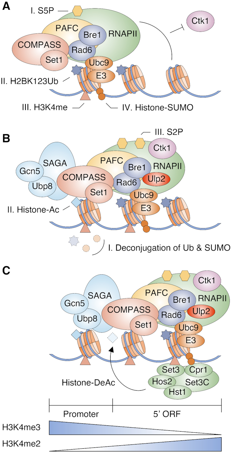 Figure 7.