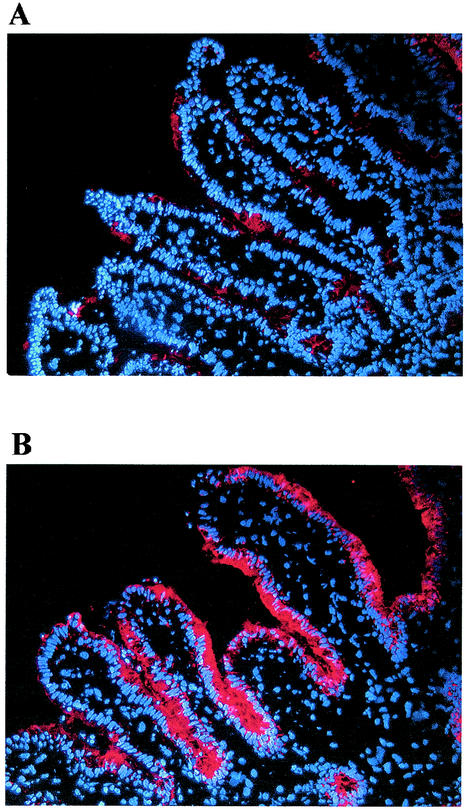 FIG. 6.