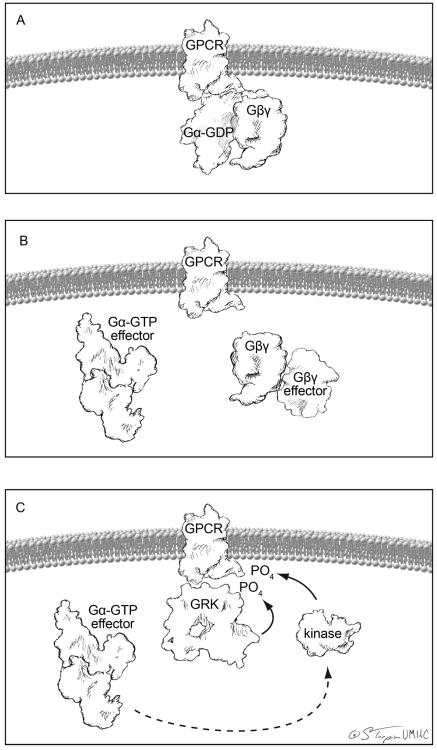 Fig. (2)