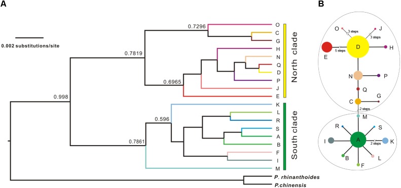 FIGURE 4