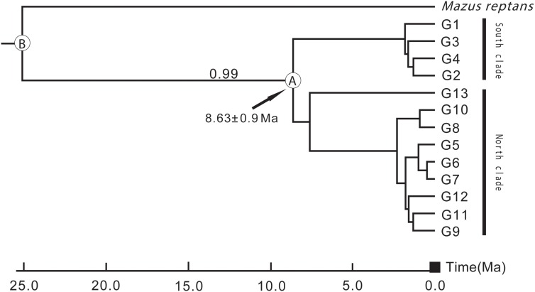 FIGURE 6