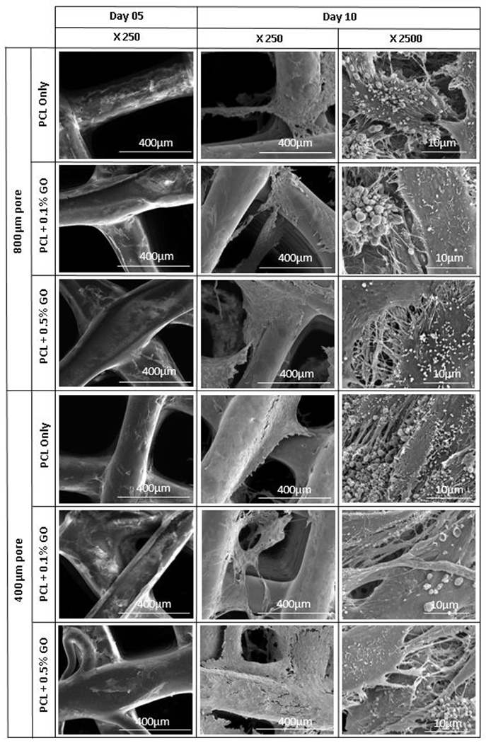 Figure 6: