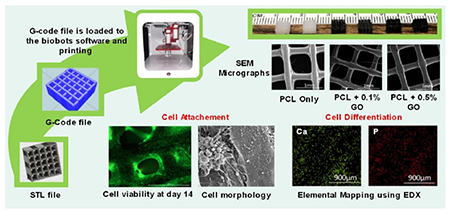 graphic file with name nihms-1527803-f0011.jpg