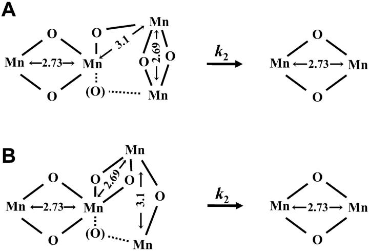 SCHEME 2