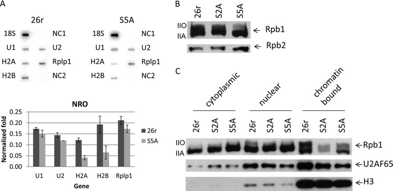 FIG 4