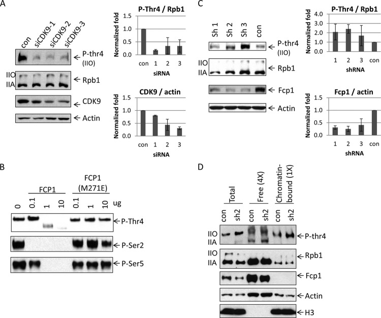 FIG 6