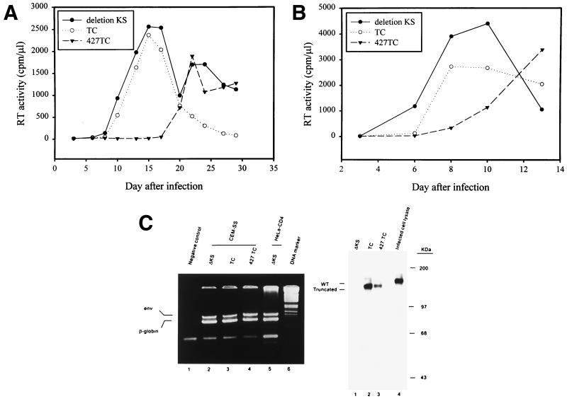 FIG. 7