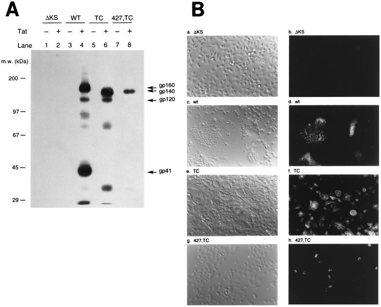 FIG. 5