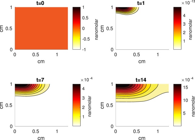 Figure 7