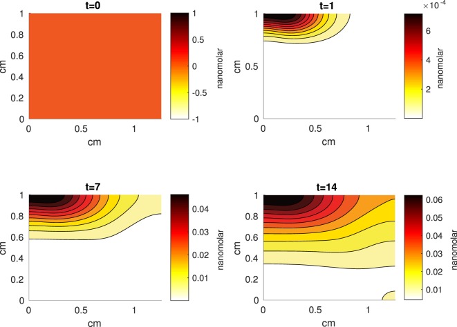 Figure 9