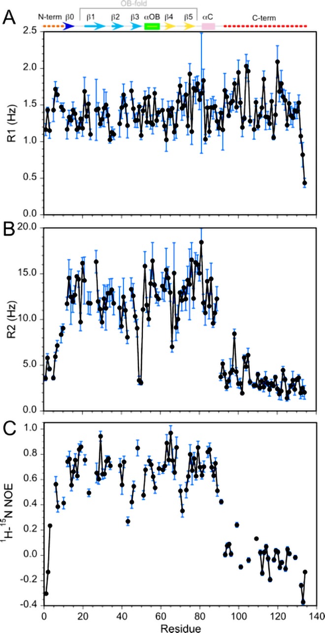 Figure 3—figure supplement 1.