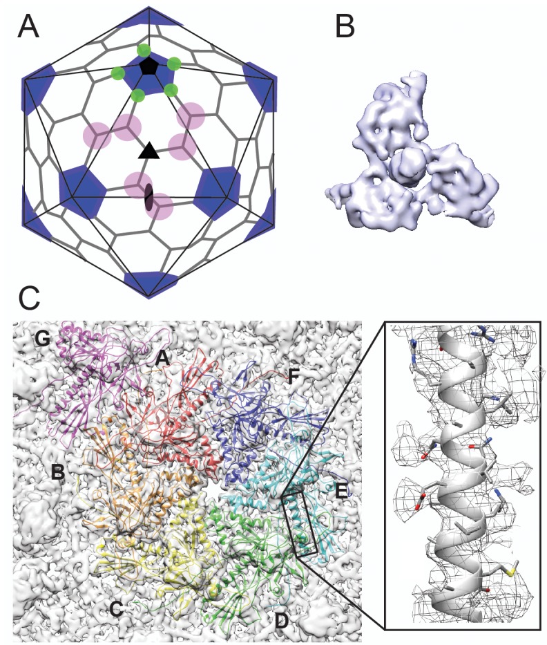 Figure 1.