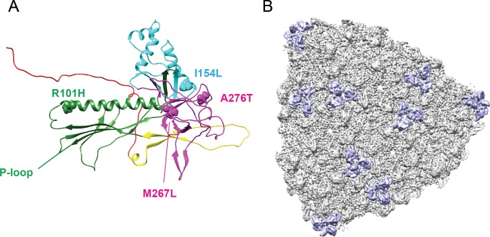 Figure 1—figure supplement 2.