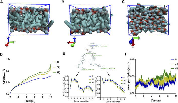 FIGURE 2