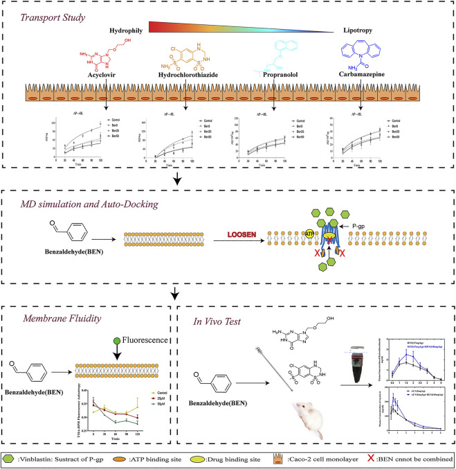 GRAPHICAL ABSTRACT