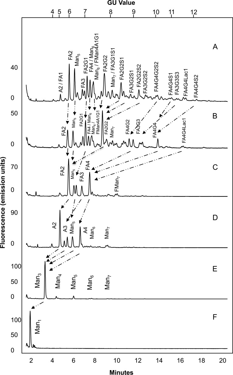 Fig. 3.