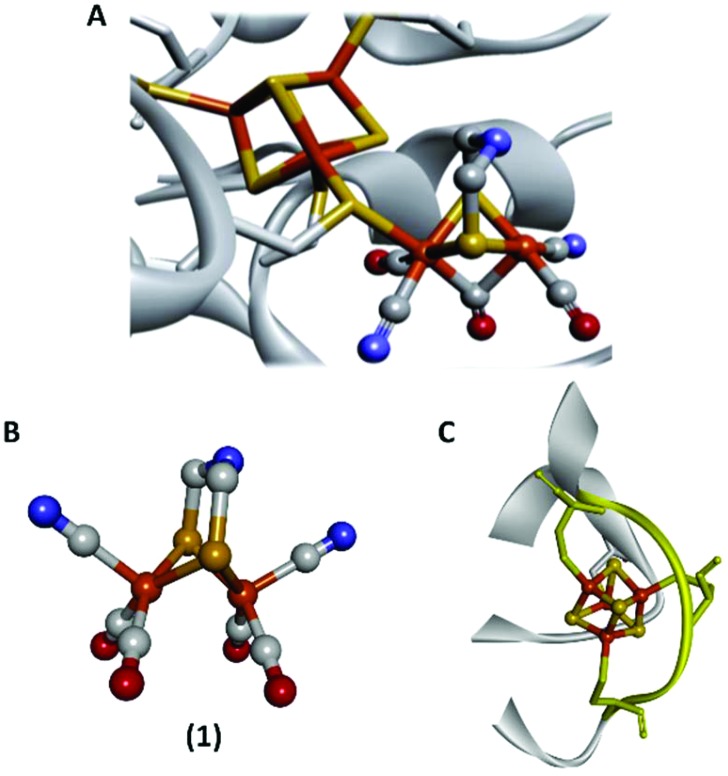 Fig. 1