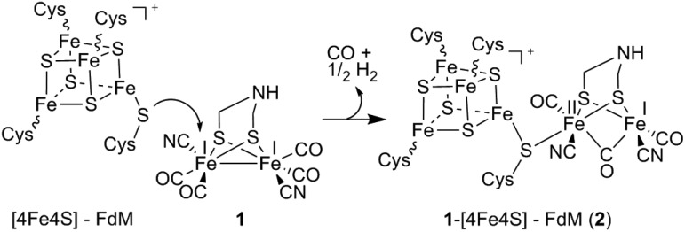 Scheme 1