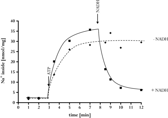 FIGURE 6.