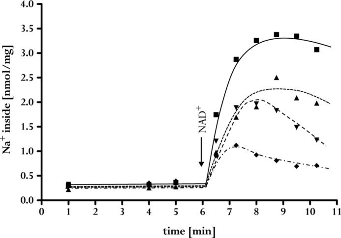 FIGURE 5.