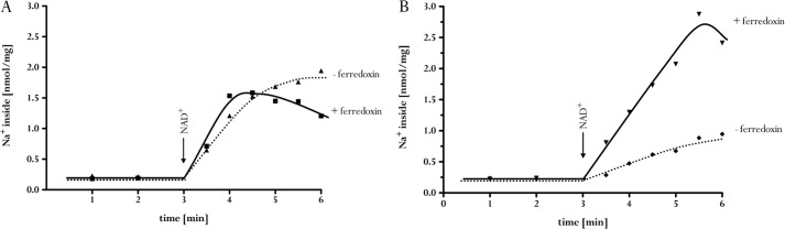 FIGURE 4.