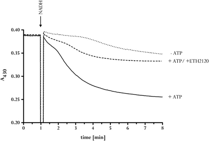 FIGURE 7.