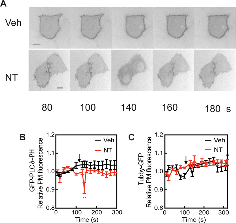 Fig. 4.