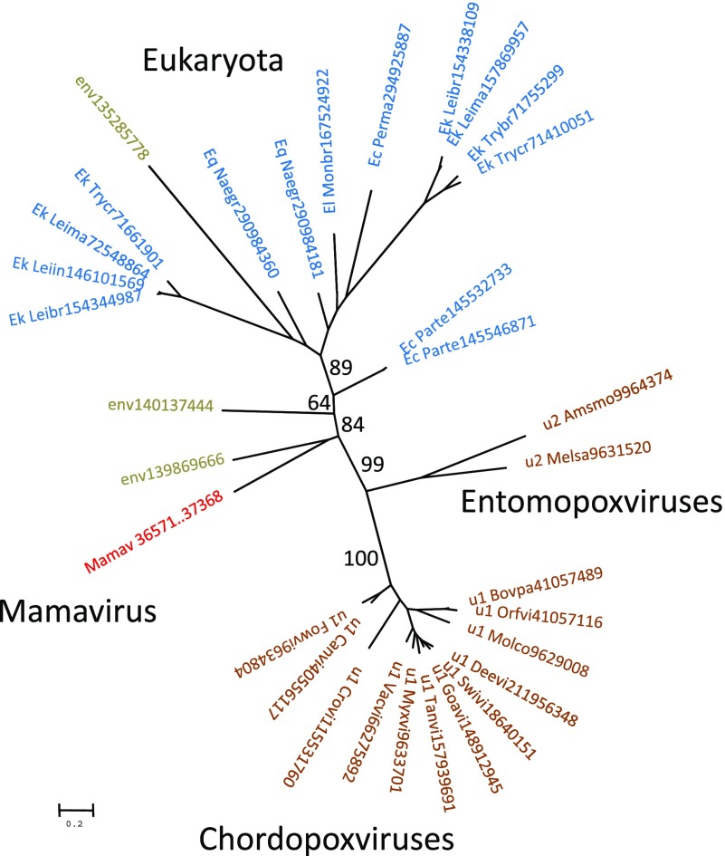 FIG. 3.—