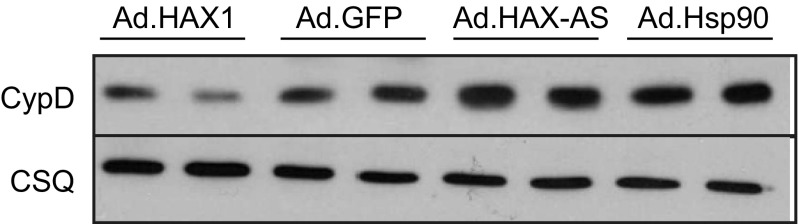 Fig. S4.