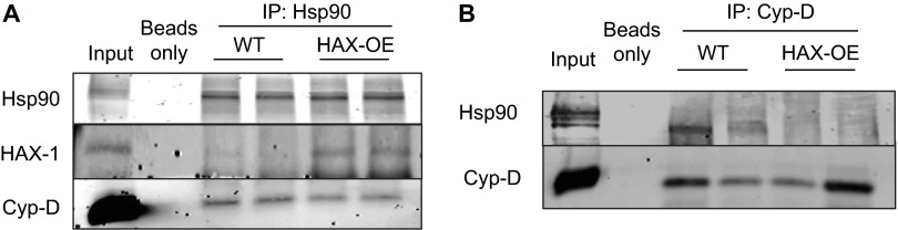 Fig. S6.