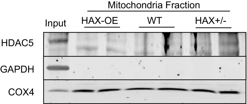 Fig. S1.