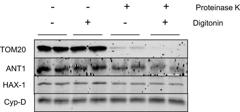 Fig. S2.