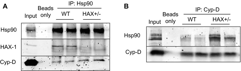 Fig. S7.