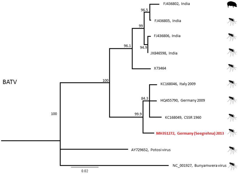 Figure 5